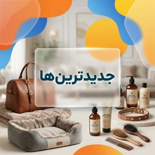 جدیدترین ها